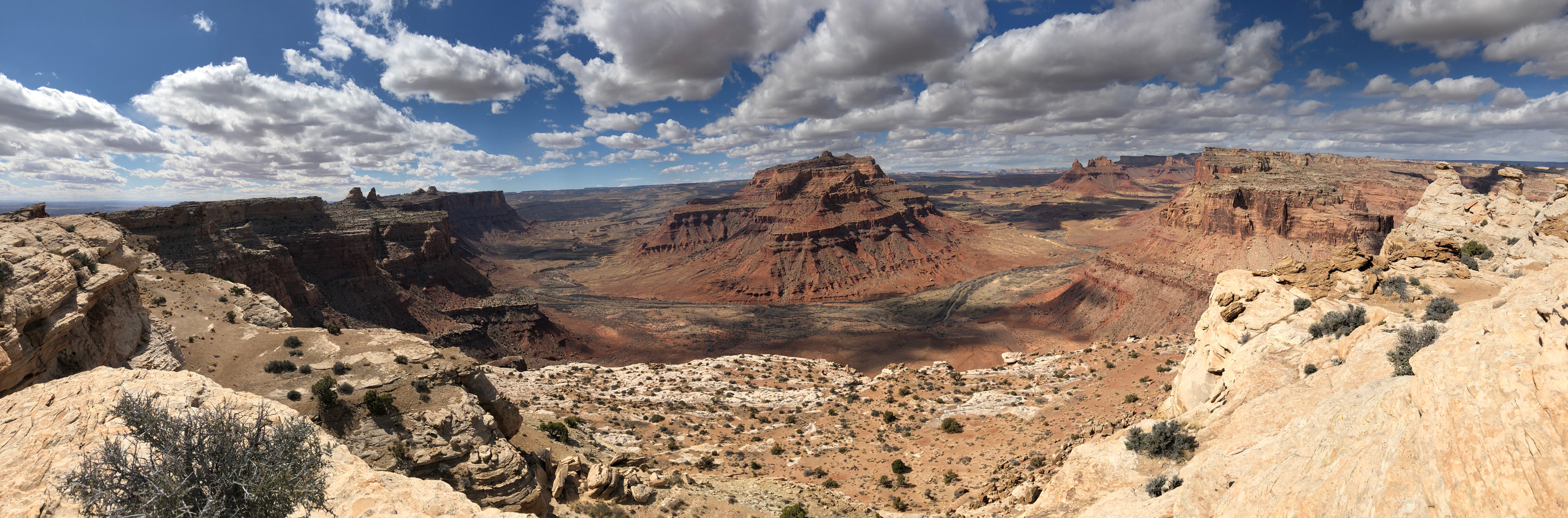 reef-pano-2-web.jpg